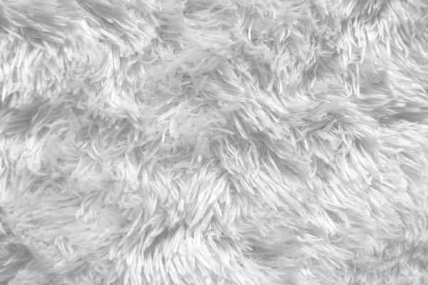Shag Carpet Installation in Prescott Valley