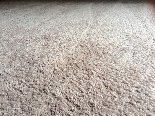 Plush Carpet Installation in Prescott Valley
