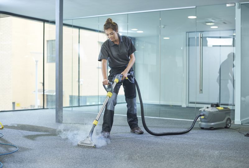 Local Carpet Cleaning Experts